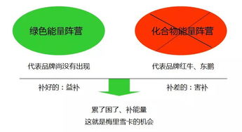 梅里雪卡香雪制药饮品营销策划案例解析
