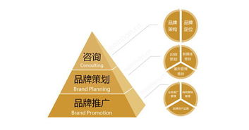 品牌营销策划中的常见误区与挑战