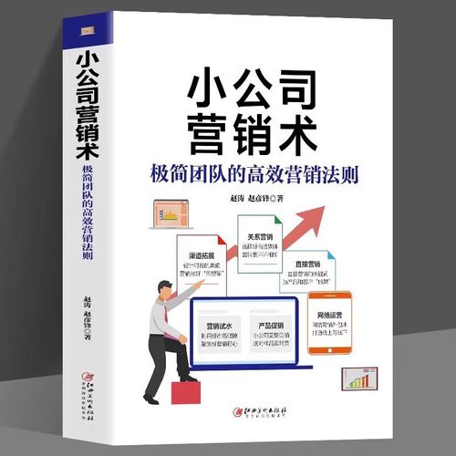 极简团队的高效营销法则 赵涛 赵彦锋著 市场营销书籍 营销策划书籍